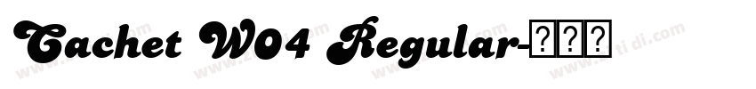 Cachet W04 Regular字体转换